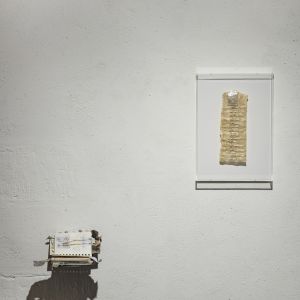 Esp-Mur_HERBIER-MEMOIRE_250523-040_ok.jpg