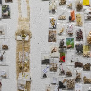 Esp-Mur_HERBIER-MEMOIRE_250523-053_ok.jpg