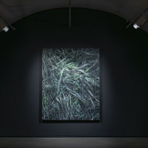 Esp-Mur_HERBIER-MEMOIRE_250523-182_ok.jpg