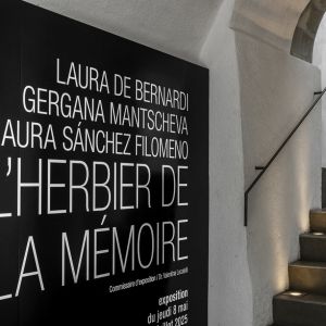 Esp-Mur_HERBIER-MEMOIRE_250523-305_ok.jpg