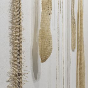 Esp-Mur_HERBIER-MEMOIRE_250523-356_V3_ok.jpg