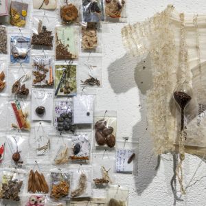 Esp-Mur_HERBIER-MEMOIRE_250612-684_V3.jpg