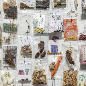 Esp-Mur_HERBIER-MEMOIRE_250612-689_V3.jpg