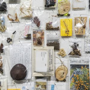 Esp-Mur_HERBIER-MEMOIRE_250612-699_V3.jpg